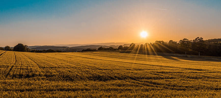 Photo by Federico Respini on Unsplash