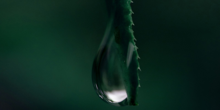Photo by Iván Díaz on Unsplash